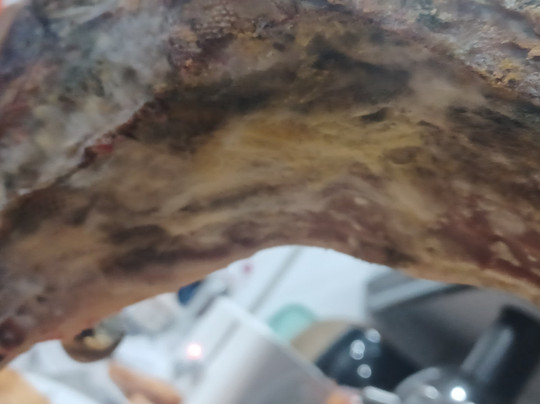 Bazar Penabon-Trevelez必去景点