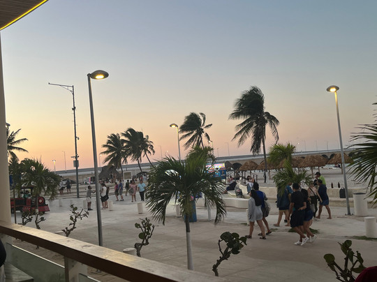 Bacalauh Cocina De Mar