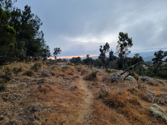 Bale Mountains Tours-Bale Mountains National Park必去景点
