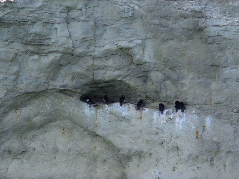 Reserva Lobería de Punta Loma-马德林港必去景点