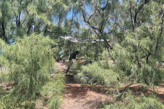 Kalela Massage-留尼旺圣皮耶必去景点