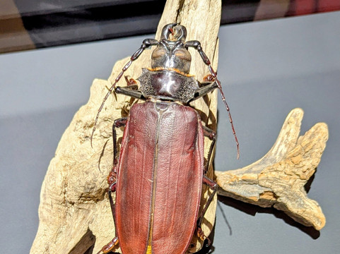 Gasometer Pforzheim-普福尔茨海姆必去景点