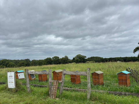The Farm-拜伦湾必去景点