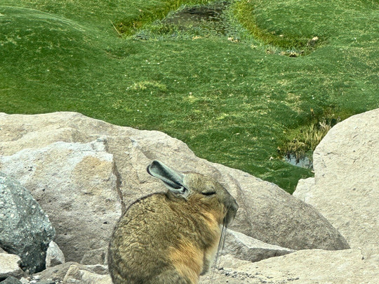 Mayuru Tour-Putre必去景点