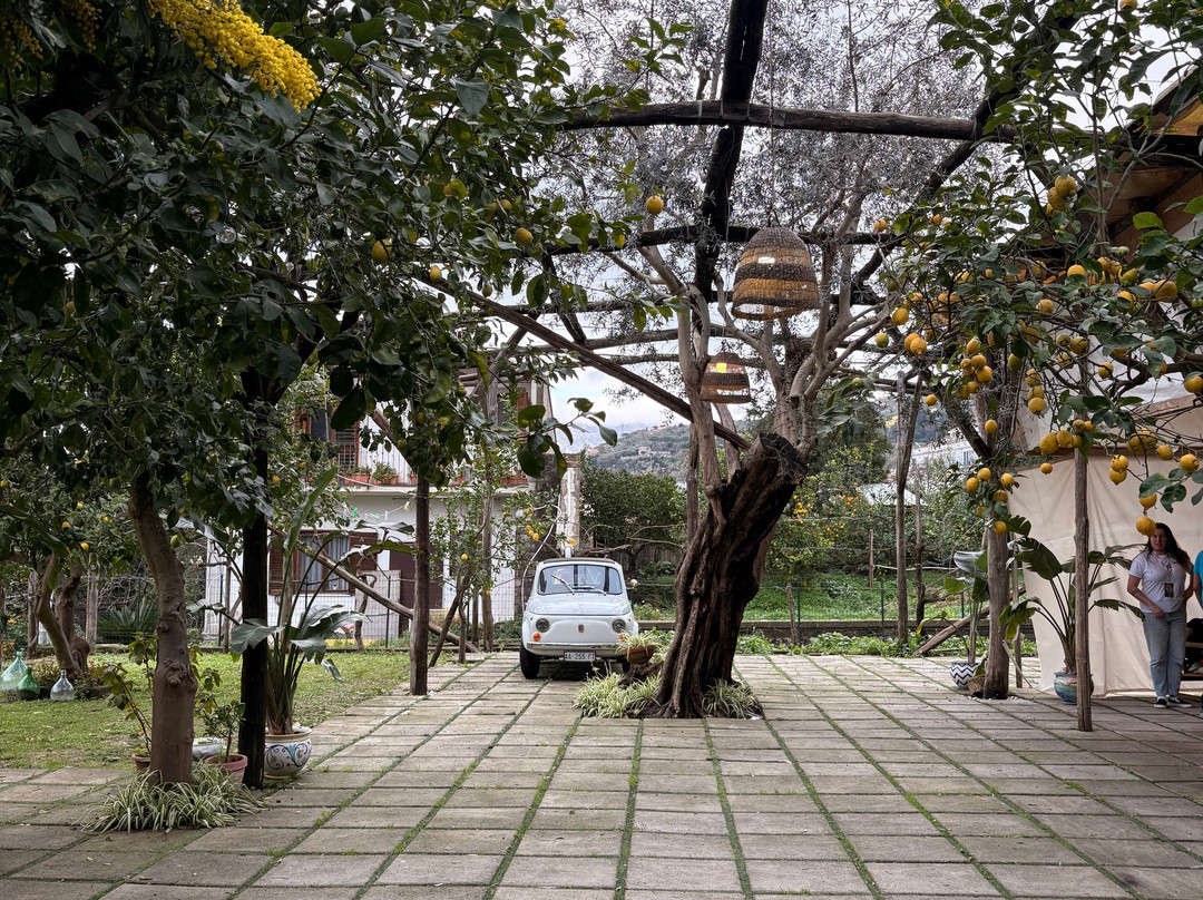 Ugo Experience-索伦托必去景点