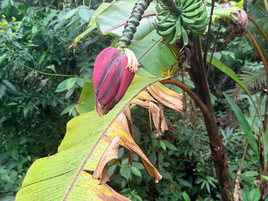 NexusTours-圣何塞必去景点