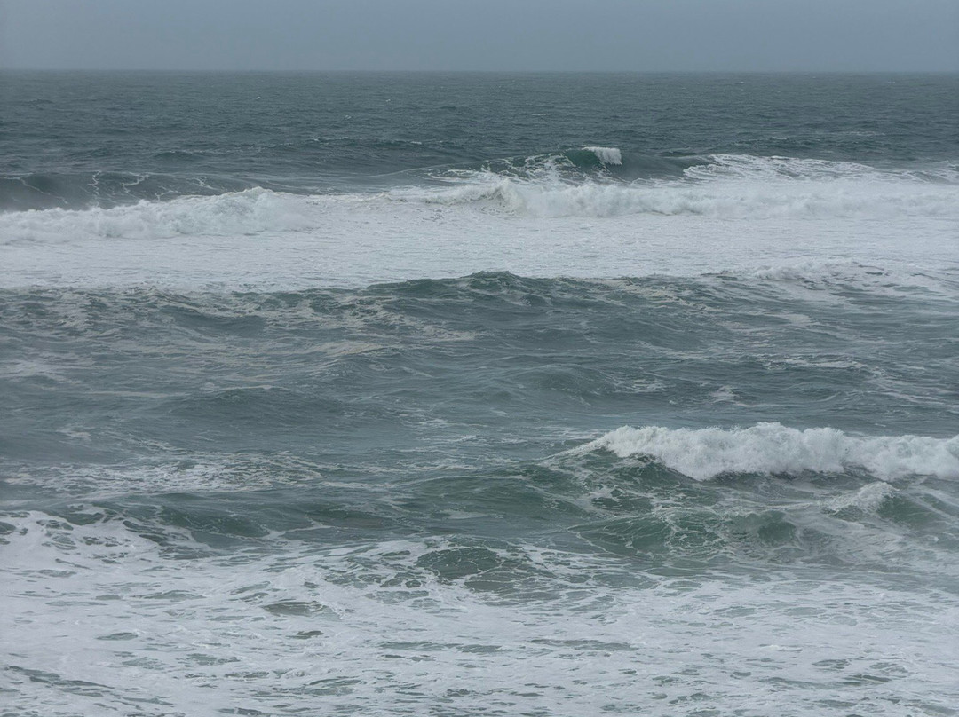 Portuguese Chauffeur-里斯本必去景点