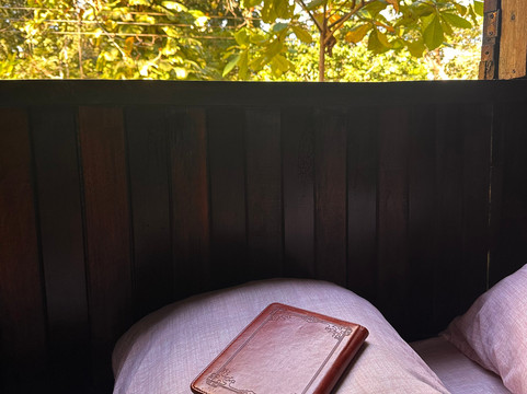 Howler Monkey Hotel主图