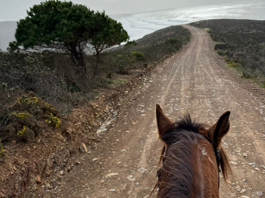 Horse Adventure Tours-Aljezur必去景点