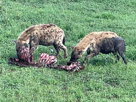 Trek Africa Expeditions-Lyamutundwe必去景点