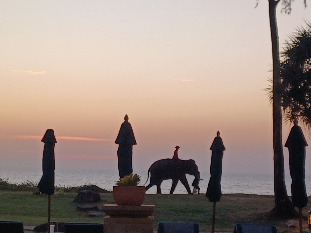 普吉岛 JW 万豪度假酒店-泳池