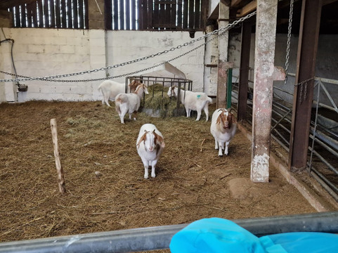 Cronkshaw Fold Farm-Rossendale必去景点