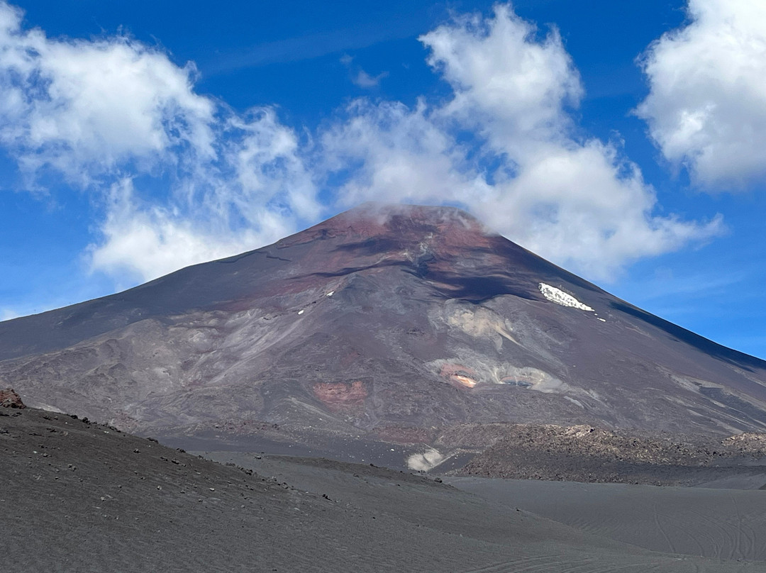 Reserva Nacional Malalcahuello - Nalcas-Malalcahuello必去景点