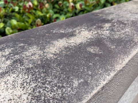 凯悦嘉轩酒店-劳德代尔堡普兰特区主图