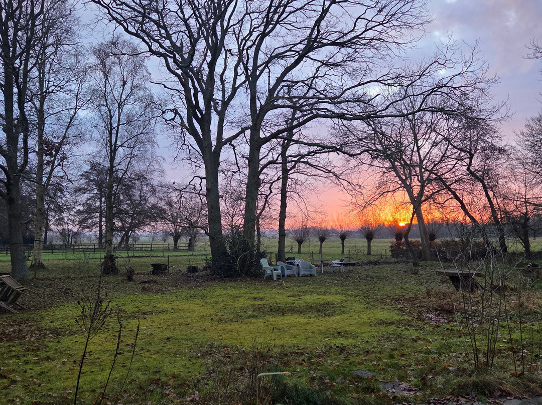 哈泽拉尔别墅酒店主图