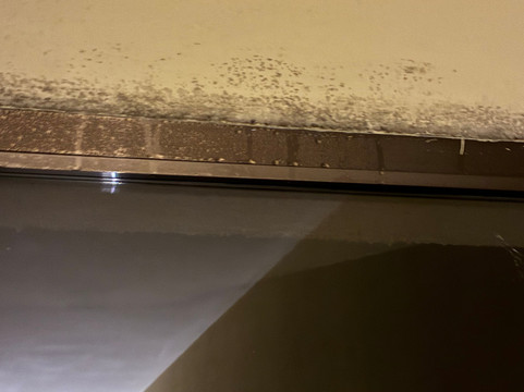 Hotel Sant Gothard主图