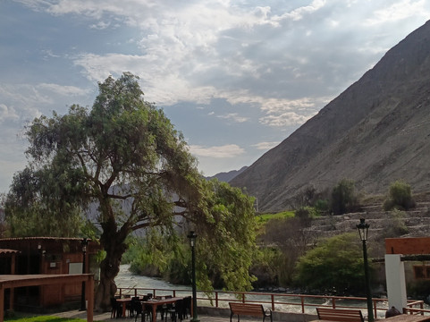 莫利诺餐厅酒店主图