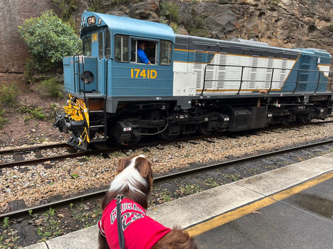 Zig Zag Railway-利特高必去景点