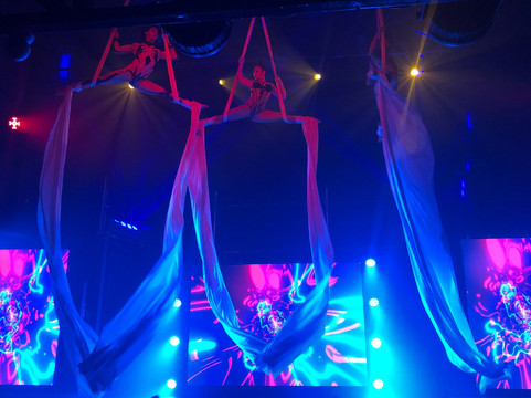 The Palm Cabaret and Bar-瓦拉塔港必去景点