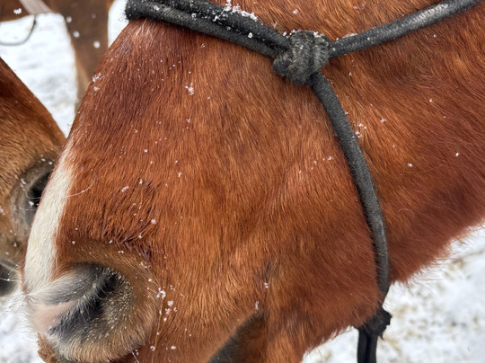 Del's Triangle 3 Ranch-Clark必去景点