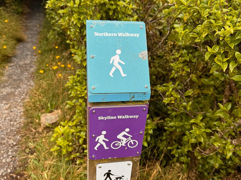 Mount Kaukau-惠灵顿必去景点