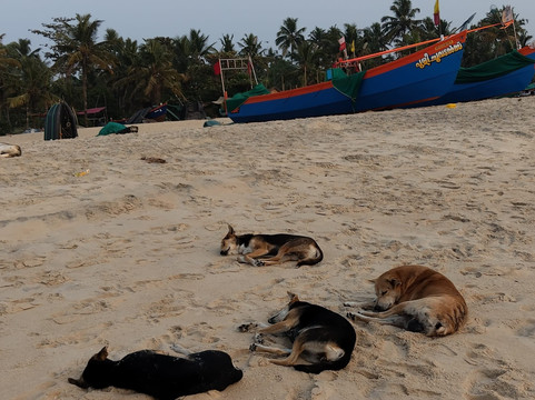 Marari Beach-Mararikulam必去景点