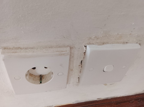 无尽夏日度假村主图