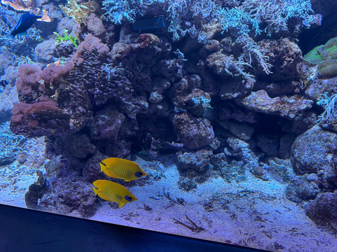 丹麦国家水族馆-哥本哈根必去景点