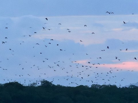 Visit Bajo-Labuan Bajo必去景点