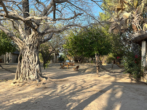 Ecolodge Le Bazouk du Saloum主图