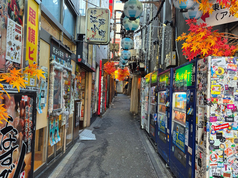 新宿黄金街-Kabukicho必去景点