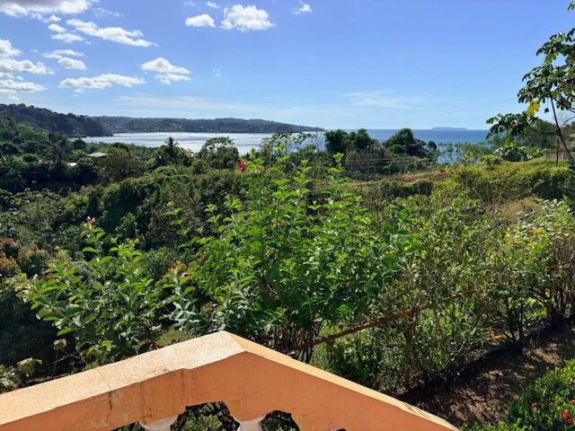 Cabinas Manolo Drake Bay, Ocean and Forest View主图