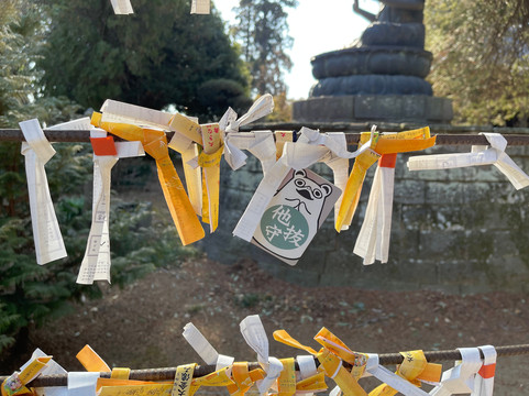Morinji Temple-馆林市必去景点