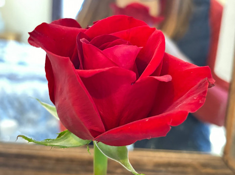 斯特林旅馆主图