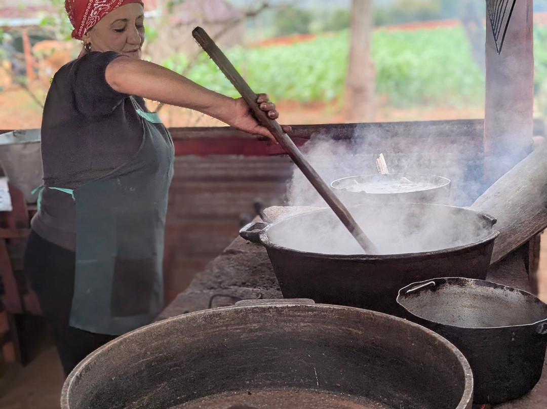 Gardner Tours-哈瓦那必去景点