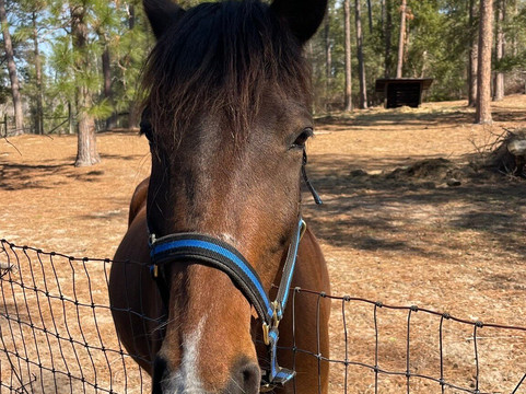 General Coffee State Park-Nicholls必去景点