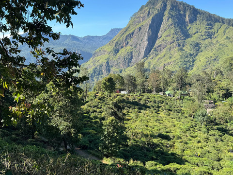 Ella Happy Tours & tuk tuk and taxi-埃勒必去景点