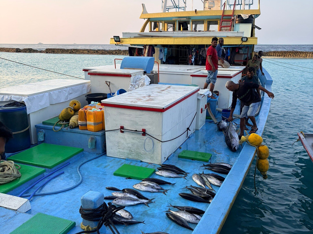 Omadhoo Coral View Inn主图