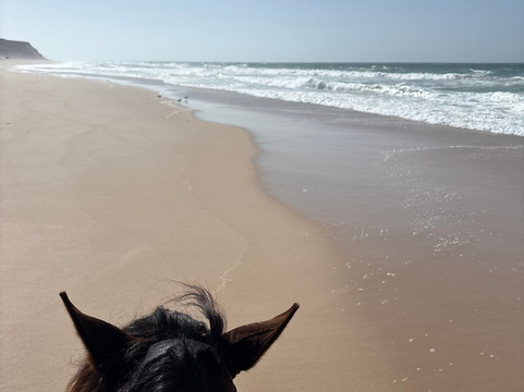 Ranch Des Dunes-达赫拉必去景点