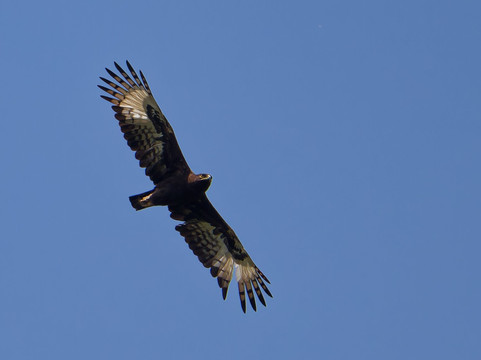 Nyandungu Eco-Park-吉佳利必去景点
