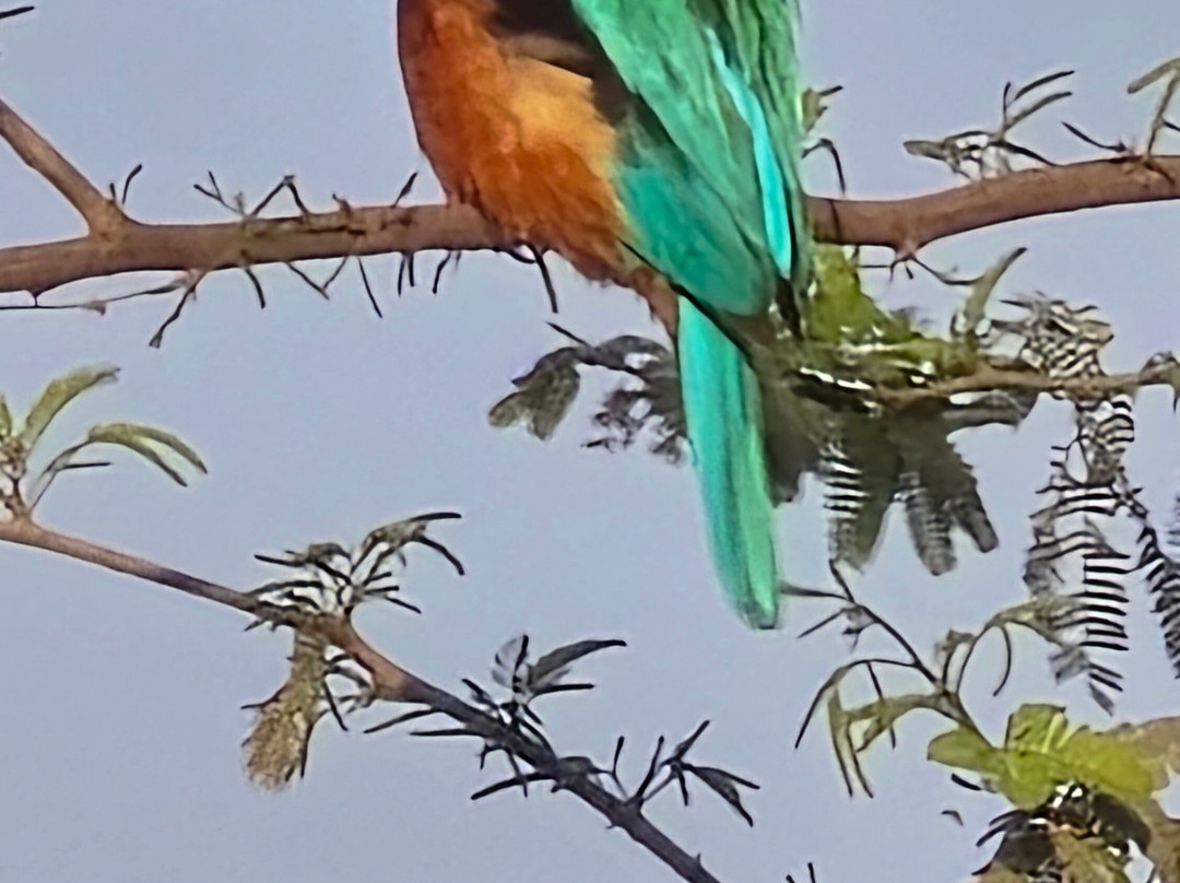 India Highlights Tour-新德里必去景点