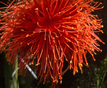 Jardín Botánico de Medellín-麦德林必去景点
