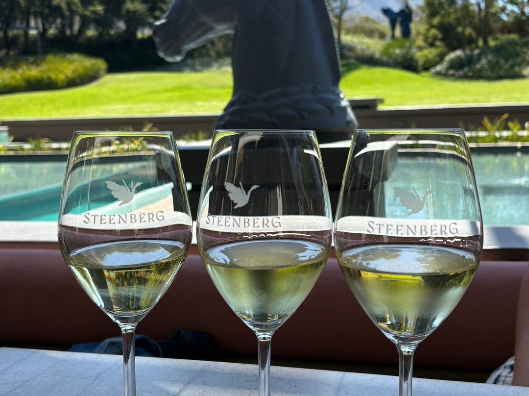 Steenberg Vineyards-康士坦提亚必去景点