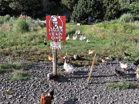 Awakeri Rail Adventures-法卡塔尼必去景点