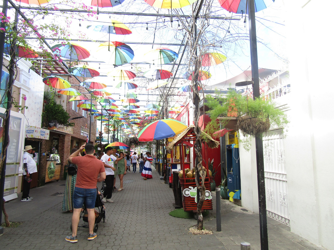 Umbrella Street-普拉塔港必去景点