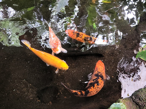 Pozas Y Cascadas La Presa-Rio Cuarto必去景点