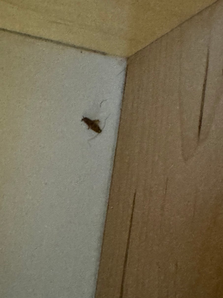 孟菲斯哈克斯克罗斯Homewood Suites by Hilton-官方