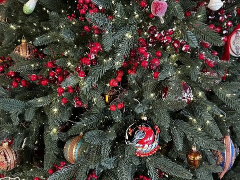 Christmas Apple-Trubichino必去景点