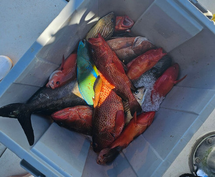 Paradise One Sports Fishing Charters-Somerset Village必去景点