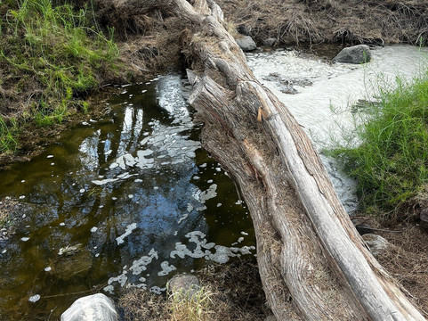 Parque Tony Gallardo-马斯帕洛马斯必去景点